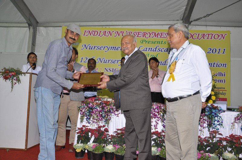 certificate image
