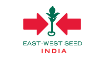 Vegetable Provider Logo