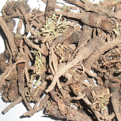 Plants Image